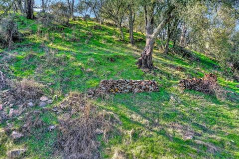 7600 Stony Creek Rd, Jackson, CA 95642 photo 28