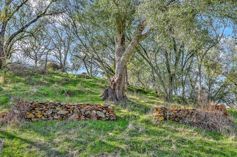 7600 Stony Creek Rd, Jackson, CA 95642 photo 5