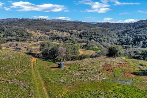 7600 Stony Creek Rd, Jackson, CA 95642 photo 10