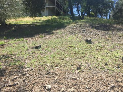 689 Bret Harte Dr, Copperopolis, CA 95228 photo 3