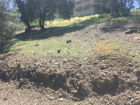689 Bret Harte Dr, Copperopolis, CA 95228 photo 5