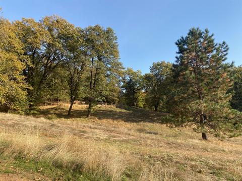 1520 Quarry Rd, Placerville, CA 95667 photo 5