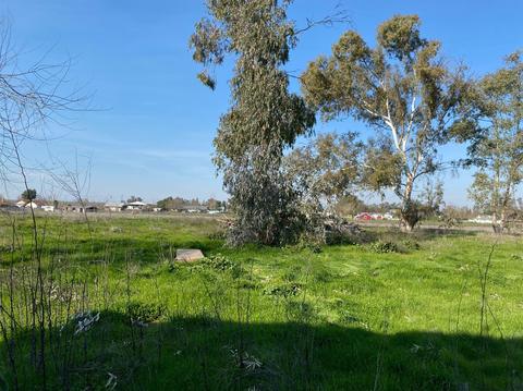 21145 E Sara Ln, Linden, CA 95236 photo 11