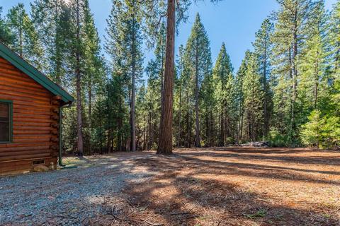 20037 Buckboard Dr, Volcano, CA 95689 photo 15