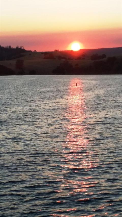 1030 Poker Flat Rd, Copperopolis, CA 95228 photo 70