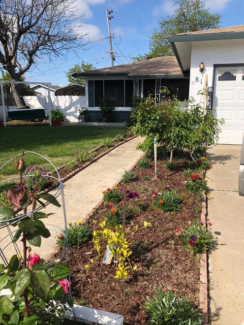 815 Ralph Ave, Manteca, CA 95336 photo 7