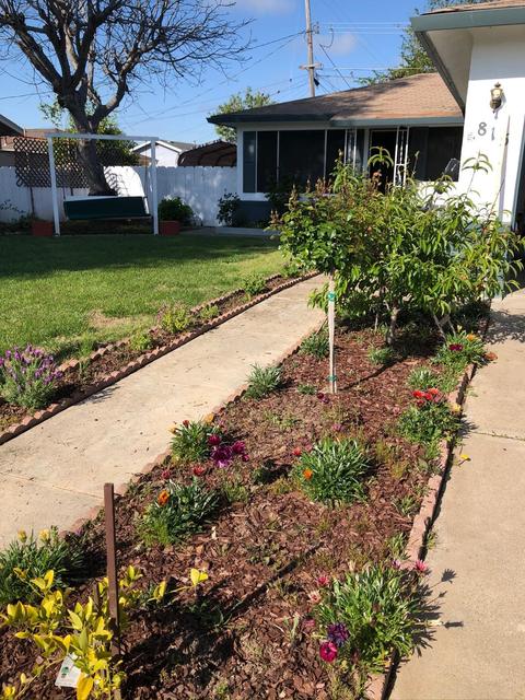 815 Ralph Ave, Manteca, CA 95336 photo 8