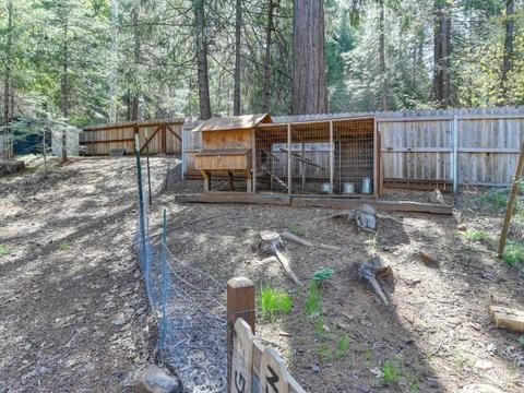 968 Drum Powerhouse Rd, Alta, CA 95701 photo 47