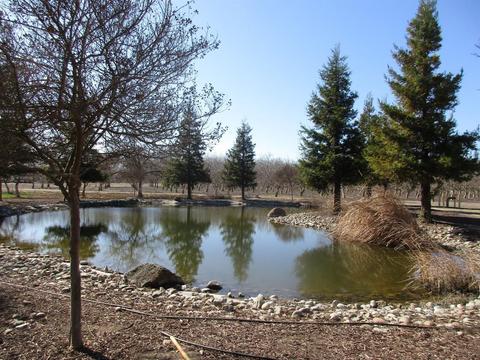17055 Crows Landing Rd, Crows Landing, CA 95313 photo 11