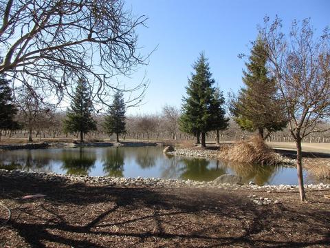 17055 Crows Landing Rd, Crows Landing, CA 95313 photo 10