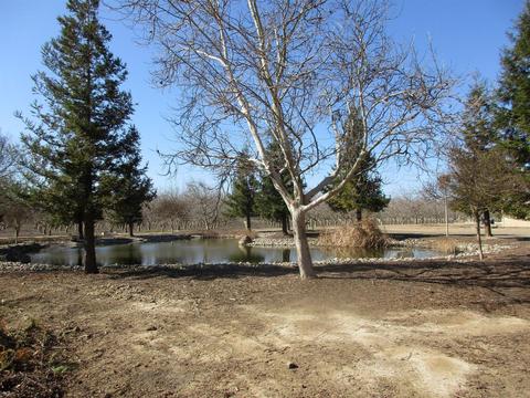 17055 Crows Landing Rd, Crows Landing, CA 95313 photo 9