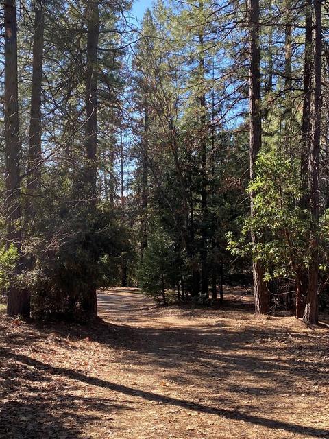 4020 Stope Dr, Placerville, CA 95667 photo 8