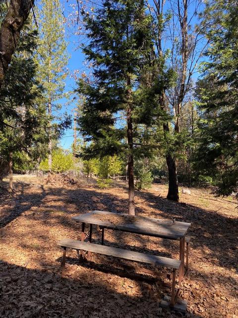4020 Stope Dr, Placerville, CA 95667 photo 9