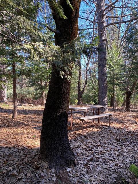 4020 Stope Dr, Placerville, CA 95667 photo 10