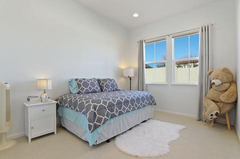 20815 Grapevine Dr, Patterson, CA 95363 photo 14