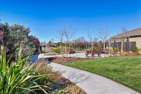 3670 Ramita Ter, Davis, CA 95618 photo 23