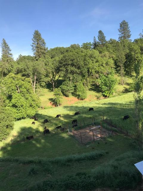 18620 Clinton Rd, Jackson, CA 95642 photo 18