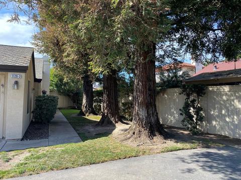 1129 Cedar Creek Dr #3, Modesto, CA 95355 photo 6