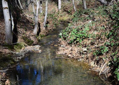 Undisclosed, Grass Valley, CA 95945 photo 19