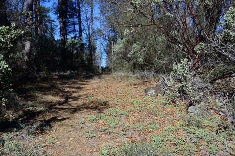 Undisclosed, Grass Valley, CA 95945 photo 20