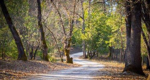 16267 Hidden Valley Rd, Sonora, CA 95370 photo 29