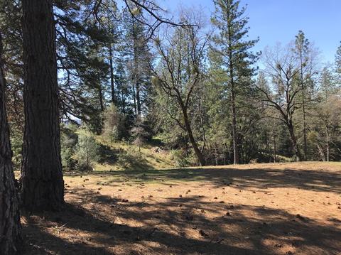 3641 Kincade Dr, Placerville, CA 95667 photo 1