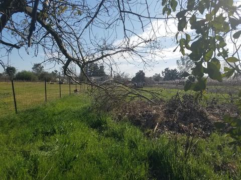 1919 Poland Rd, Modesto, CA 95358 photo 5