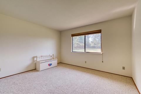 17044 Climax Rd, Jackson, CA 95642 photo 25