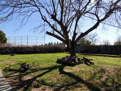524 Bella Ct, Lathrop, CA 95330 photo 19