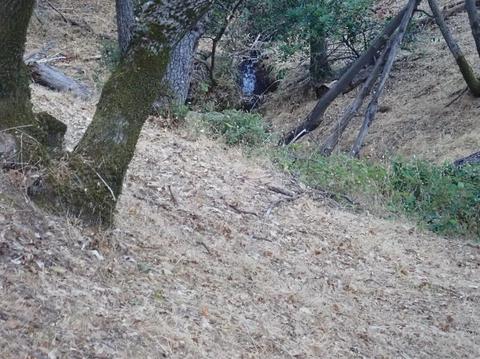 5035 Eagles Nest, Auburn, CA 95603 photo 7