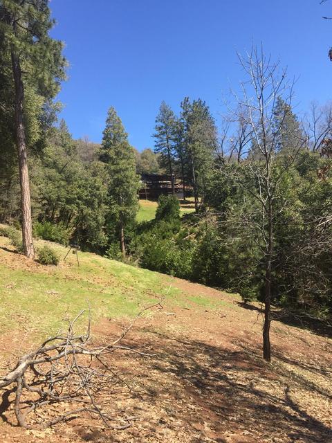 16144 Big Hl, Sonora, CA 95370 photo 3