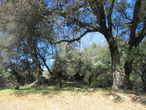 3060 Upper Black Rock Rd, Cool, CA 95614 photo 33