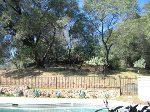 3060 Upper Black Rock Rd, Cool, CA 95614 photo 26