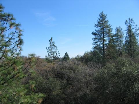 3060 Upper Black Rock Rd, Cool, CA 95614 photo 32
