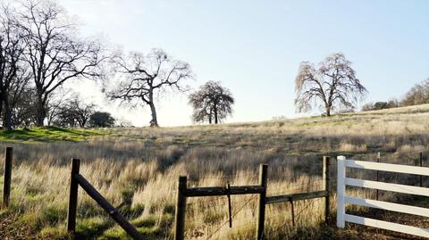 3821 Luneman Rd, Placerville, CA 95667 photo 8