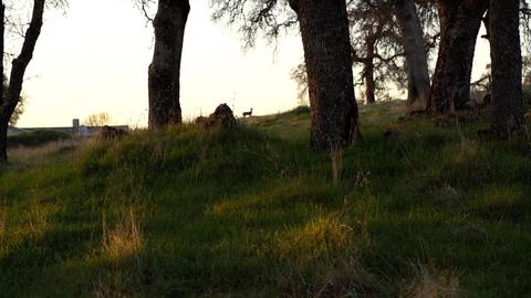 3821 Luneman Rd, Placerville, CA 95667 photo 9