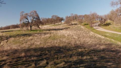 3821 Luneman Rd, Placerville, CA 95667 photo 10