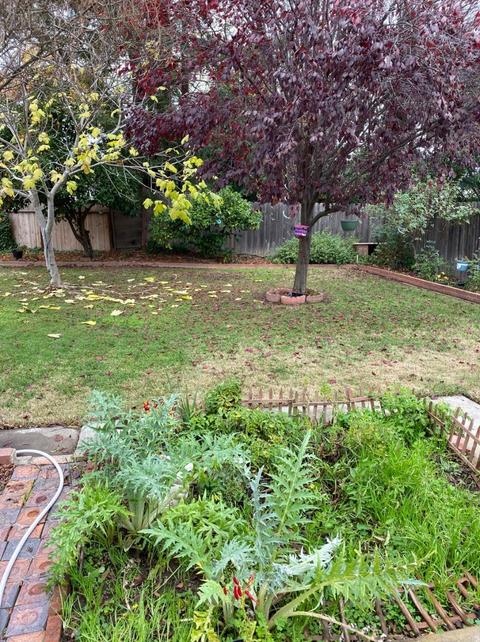 1425 Lake St, Lodi, CA 95242 photo 14