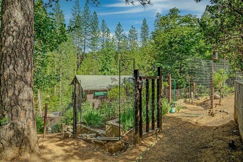 3950 Frog Hollow Dr, Placerville, CA 95667 photo 45