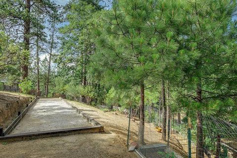 3950 Frog Hollow Dr, Placerville, CA 95667 photo 43
