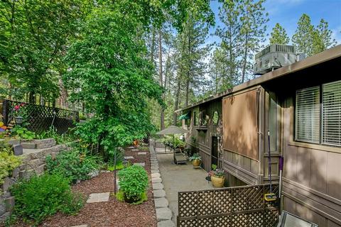 3950 Frog Hollow Dr, Placerville, CA 95667 photo 50