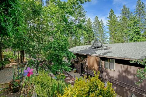 3950 Frog Hollow Dr, Placerville, CA 95667 photo 49