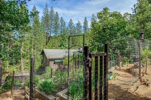 3950 Frog Hollow Dr, Placerville, CA 95667 photo 38
