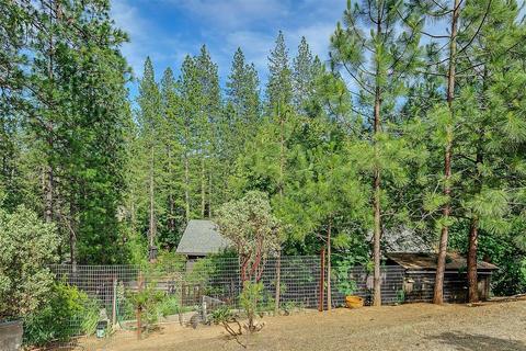 3950 Frog Hollow Dr, Placerville, CA 95667 photo 44