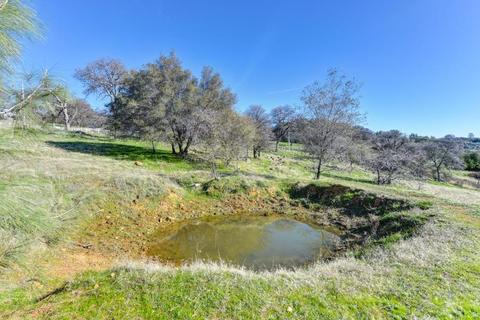 25577 Harvey Rd, Grass Valley, CA 95949 photo 45