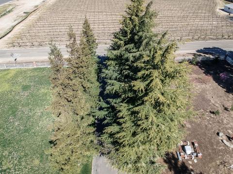 5980 E Peach Ave, Manteca, CA 95337 photo 76
