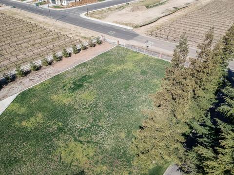 5980 E Peach Ave, Manteca, CA 95337 photo 77