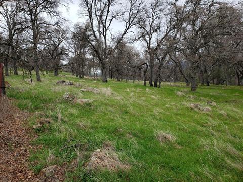 4700 Schirle Dr, Placerville, CA 95667 photo 21