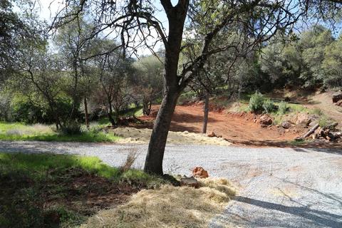 6611 Mother Lode Dr, Placerville, CA 95667 photo 4