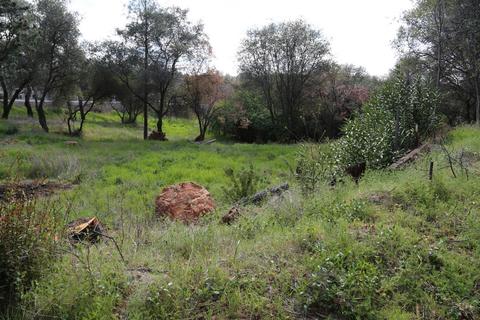 6611 Mother Lode Dr, Placerville, CA 95667 photo 7